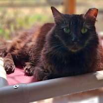 Thumbnail photo of Jewel #2