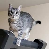 Thumbnail photo of Flower #1