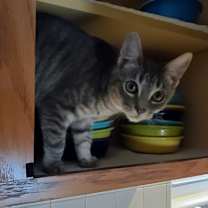 Thumbnail photo of Flower #2