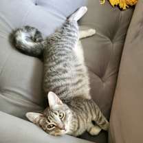 Thumbnail photo of Flower #3