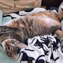 Thumbnail photo of Sonia #3