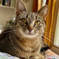 Thumbnail photo of Ximena #1