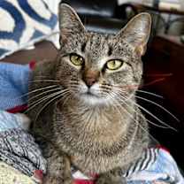 Thumbnail photo of Ximena #4