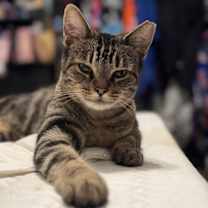 Thumbnail photo of Annabelle #2