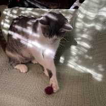 Thumbnail photo of Timothy Flowers #3