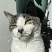 Thumbnail photo of Luna B. #2