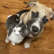 Thumbnail photo of Luna B. #3