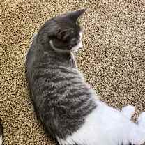 Thumbnail photo of Luna B. #4