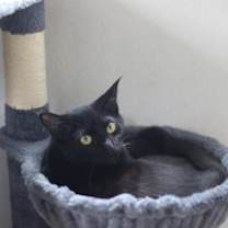 Thumbnail photo of Taco #3