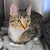 Thumbnail photo of Sydney #3