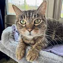 Thumbnail photo of Emily #3