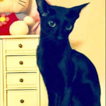 Thumbnail photo of Athena #1