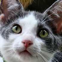 Thumbnail photo of Rain #2