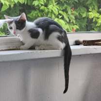 Thumbnail photo of Rain #3