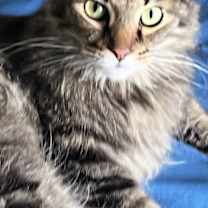 Thumbnail photo of zz 'Lumen' courtesy listing #1