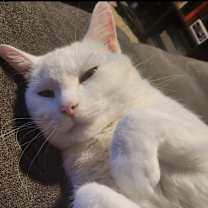 Thumbnail photo of Bernadette #3