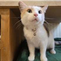 Thumbnail photo of Mae #2