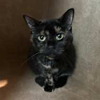 Thumbnail photo of Mavis #2