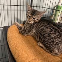 Thumbnail photo of Dean #2