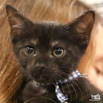 Thumbnail photo of Forrest #3