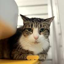 Thumbnail photo of Bujulito (leeto) #1