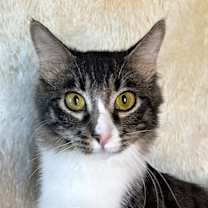 Thumbnail photo of Floyd #1