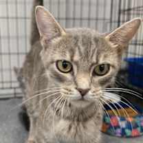 Thumbnail photo of Patti #3