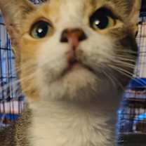 Thumbnail photo of Mama #1