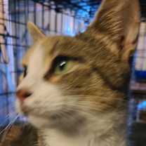 Thumbnail photo of Mama #3