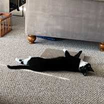 Thumbnail photo of Miracle #2