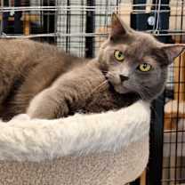 Thumbnail photo of Chloe #4