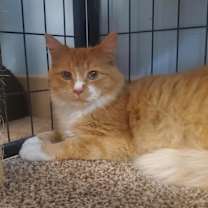 Thumbnail photo of William #3