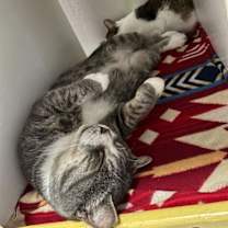 Thumbnail photo of Jerome #4