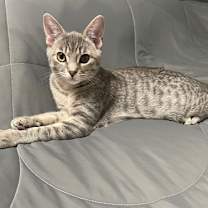 Thumbnail photo of Blossom #2