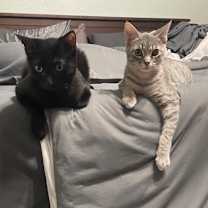 Thumbnail photo of Blossom #3