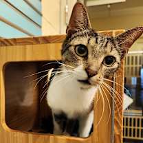 Thumbnail photo of Jelly #1