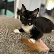 Thumbnail photo of Monster #1