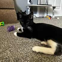 Thumbnail photo of Monster #2