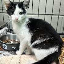 Thumbnail photo of Grimace #2