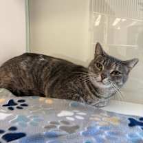 Thumbnail photo of Starla #2