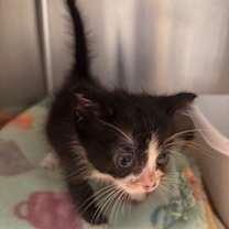 Thumbnail photo of Mable #2