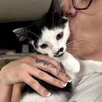 Thumbnail photo of Gaston #1