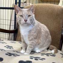 Thumbnail photo of Tank #4