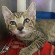 Thumbnail photo of Zedd #3