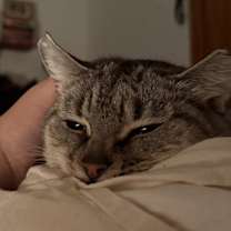 Thumbnail photo of Beatrice #3