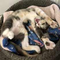 Thumbnail photo of Oasis Napa #3