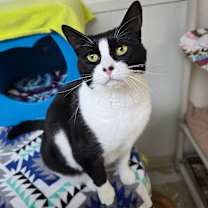 Thumbnail photo of Luna Tula #1