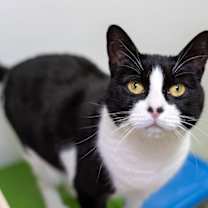 Thumbnail photo of Luna Tula #2