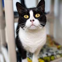 Thumbnail photo of Luna Tula #4