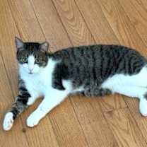 Thumbnail photo of May #1